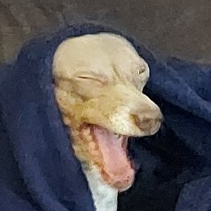 Meet your Posher, Karen